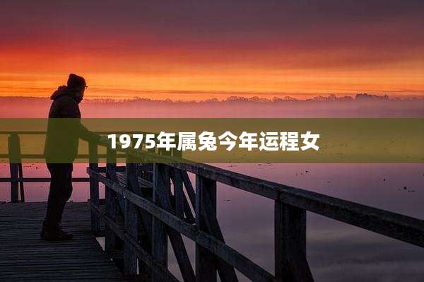 1975年属兔今年运程女