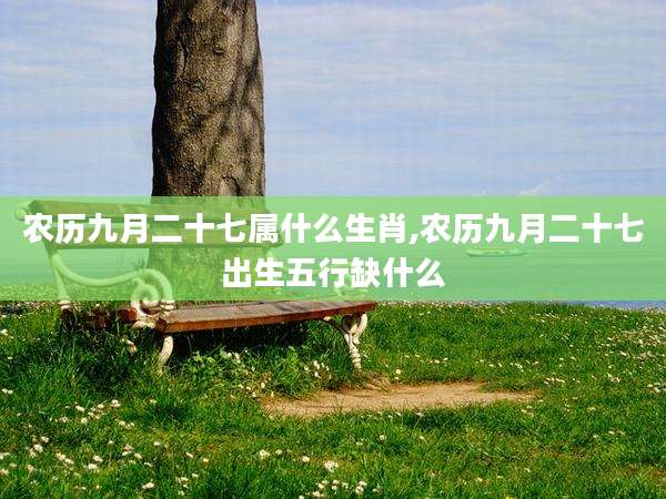 农历九月二十七属什么生肖,农历九月二十七出生五行缺什么