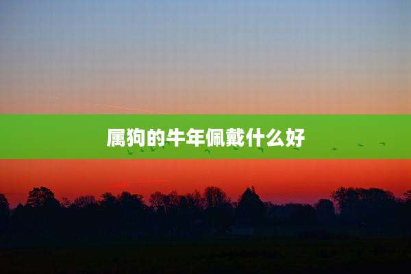 属狗的牛年佩戴什么好
