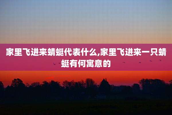 家里飞进来蜻蜓代表什么,家里飞进来一只蜻蜓有何寓意的