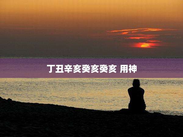 丁丑辛亥癸亥癸亥 用神