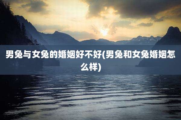 男兔与女兔的婚姻好不好(男兔和女兔婚姻怎么样)