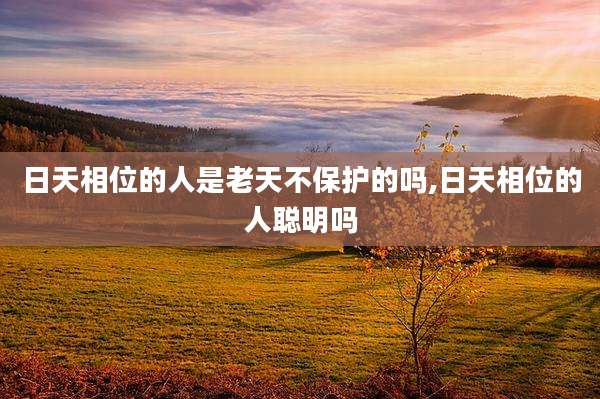 日天相位的人是老天不保护的吗,日天相位的人聪明吗