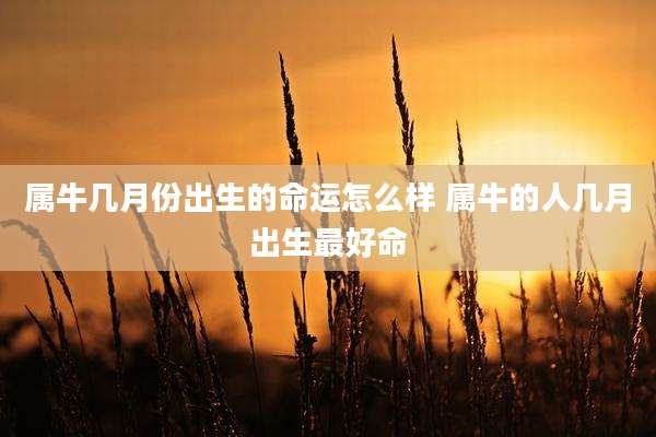 属牛几月份出生的命运怎么样 属牛的人几月出生最好命
