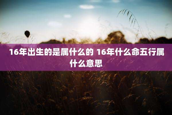 16年出生的是属什么的 16年什么命五行属什么意思