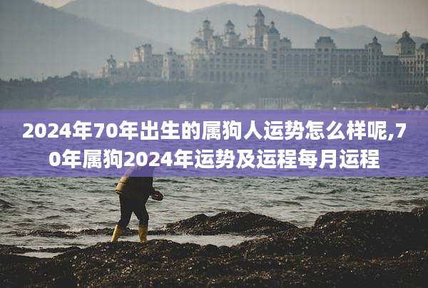 2024年70年出生的属狗人运势怎么样呢,70年属狗2024年运势及运程每月运程