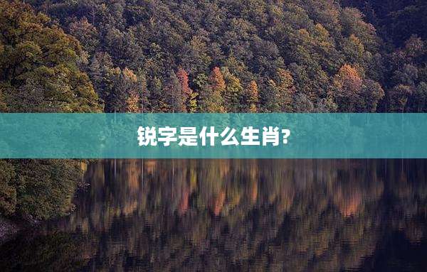 锐字是什么生肖?