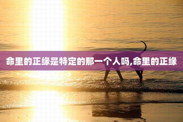 命里的正缘是特定的那一个人吗,命里的正缘