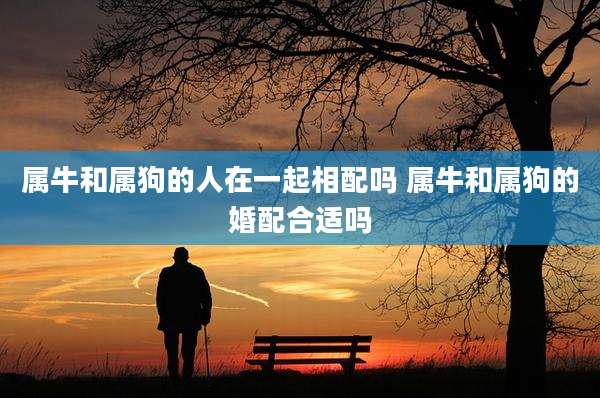 属牛和属狗的人在一起相配吗 属牛和属狗的婚配合适吗