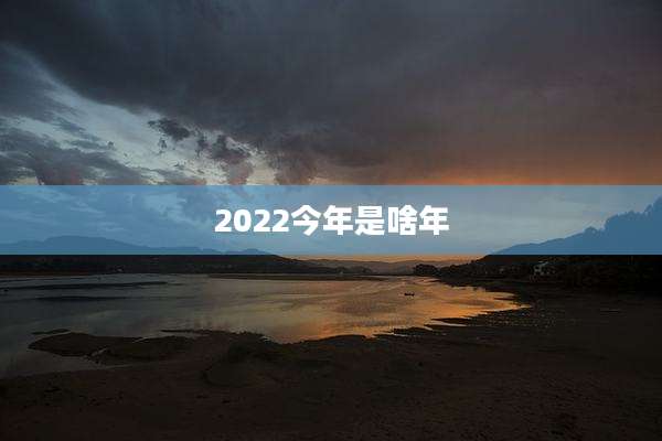 2022今年是啥年