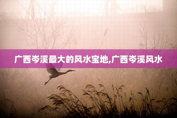 广西岑溪最大的风水宝地,广西岑溪风水