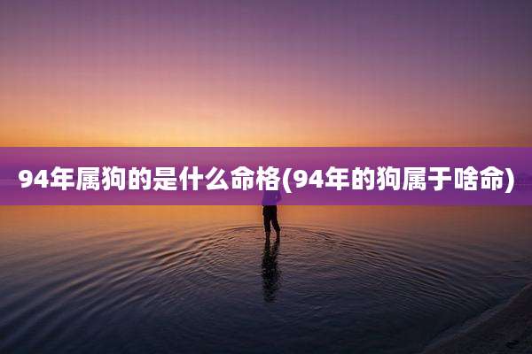 94年属狗的是什么命格(94年的狗属于啥命)