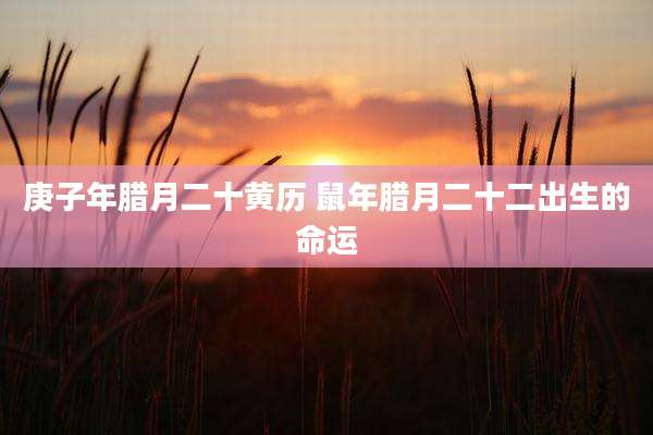 庚子年腊月二十黄历 鼠年腊月二十二出生的命运