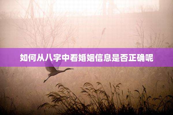 如何从八字中看婚姻信息是否正确呢