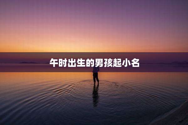 午时出生的男孩起小名