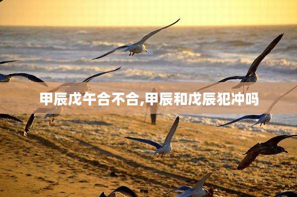 甲辰戊午合不合,甲辰和戊辰犯冲吗