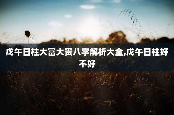 戊午日柱大富大贵八字解析大全,戊午日柱好不好