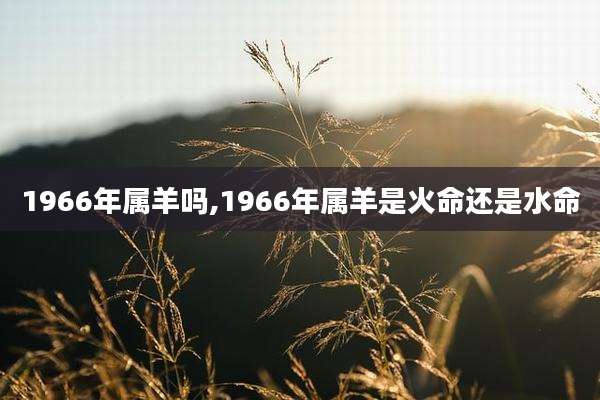 1966年属羊吗,1966年属羊是火命还是水命