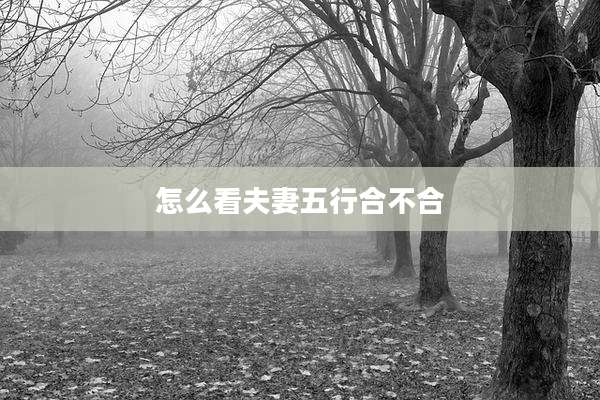 怎么看夫妻五行合不合