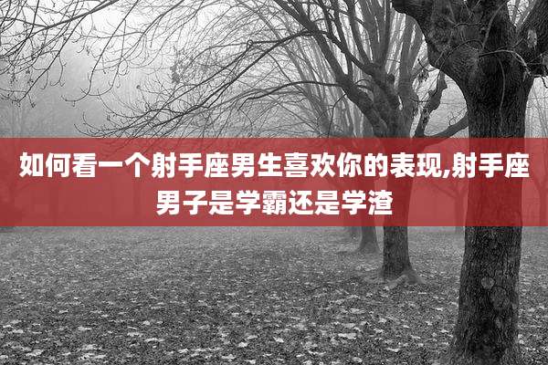 如何看一个射手座男生喜欢你的表现,射手座男子是学霸还是学渣