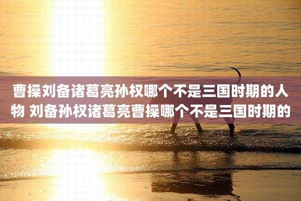 曹操刘备诸葛亮孙权哪个不是三国时期的人物 刘备孙权诸葛亮曹操哪个不是三国时期的