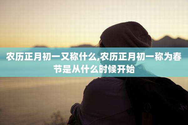 农历正月初一又称什么,农历正月初一称为春节是从什么时候开始