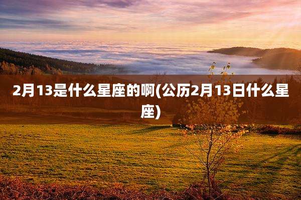 2月13是什么星座的啊(公历2月13日什么星座)