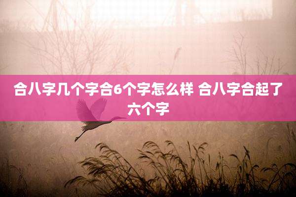 合八字几个字合6个字怎么样 合八字合起了六个字