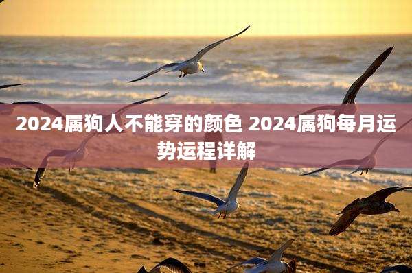 2024属狗人不能穿的颜色 2024属狗每月运势运程详解