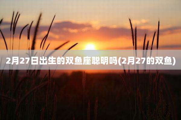 2月27日出生的双鱼座聪明吗(2月27的双鱼)