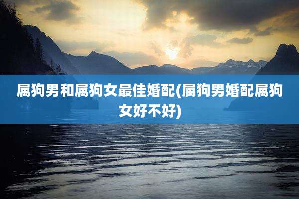 属狗男和属狗女最佳婚配(属狗男婚配属狗女好不好)