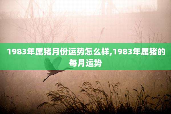 1983年属猪月份运势怎么样,1983年属猪的每月运势