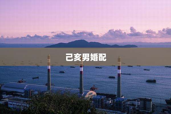 己亥男婚配
