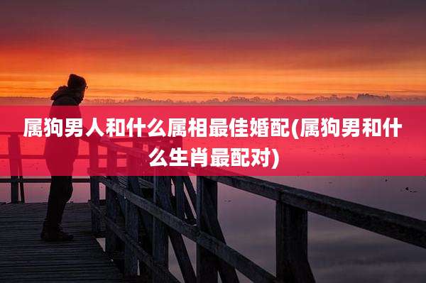 属狗男人和什么属相最佳婚配(属狗男和什么生肖最配对)