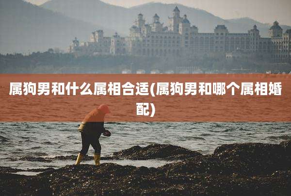 属狗男和什么属相合适(属狗男和哪个属相婚配)