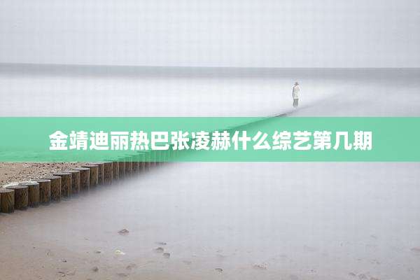 金靖迪丽热巴张凌赫什么综艺第几期
