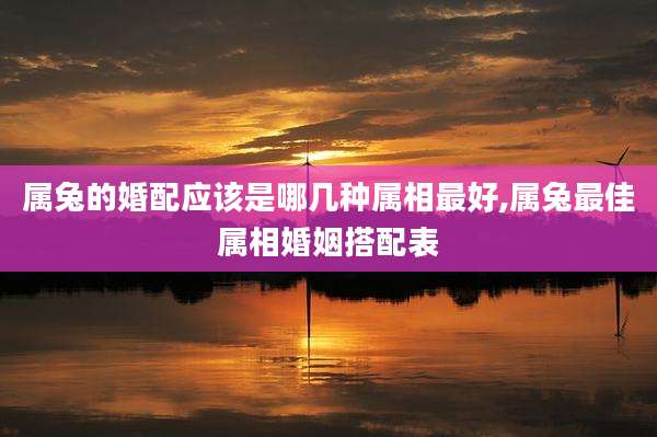 属兔的婚配应该是哪几种属相最好,属兔最佳属相婚姻搭配表