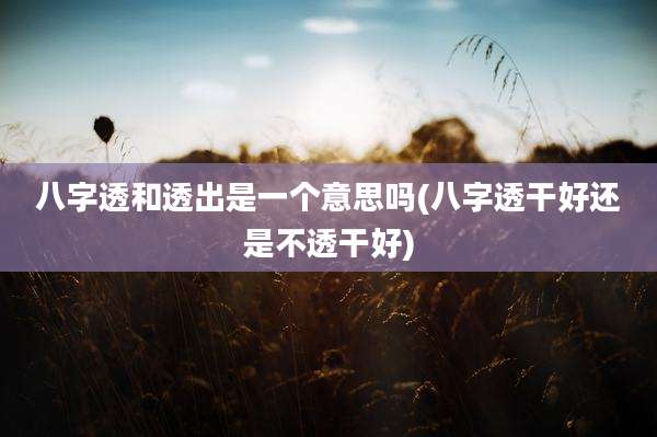 八字透和透出是一个意思吗(八字透干好还是不透干好)