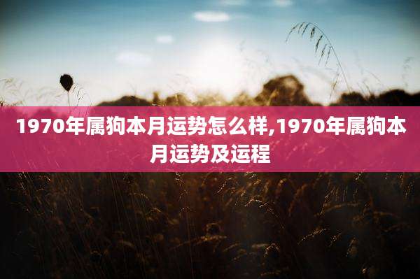 1970年属狗本月运势怎么样,1970年属狗本月运势及运程