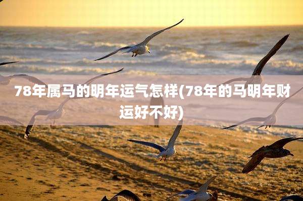 78年属马的明年运气怎样(78年的马明年财运好不好)
