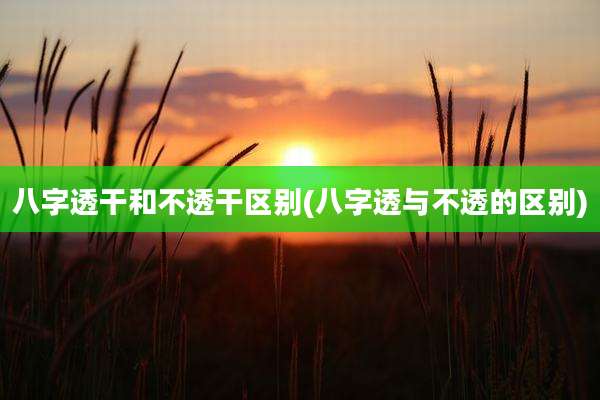 八字透干和不透干区别(八字透与不透的区别)