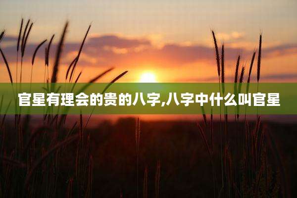 官星有理会的贵的八字,八字中什么叫官星