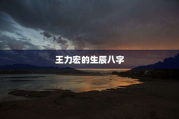 王力宏的生辰八字