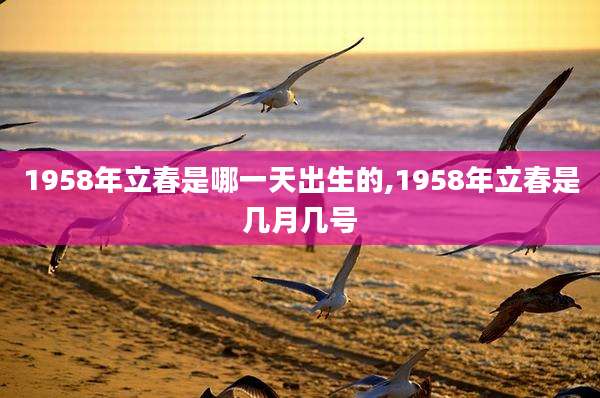 1958年立春是哪一天出生的,1958年立春是几月几号