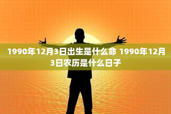 1990年12月3日出生是什么命 1990年12月3日农历是什么日子