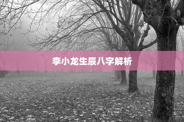 李小龙生辰八字解析