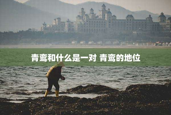 青鸾和什么是一对 青鸾的地位