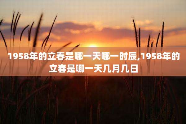 1958年的立春是哪一天哪一时辰,1958年的立春是哪一天几月几日