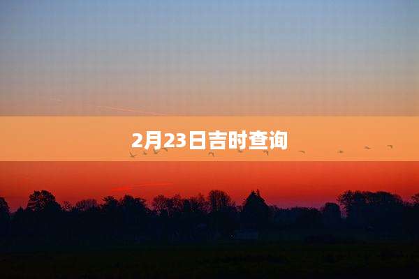 2月23日吉时查询