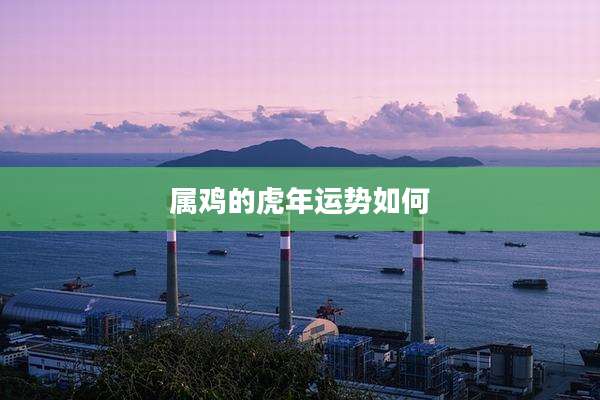 属鸡的虎年运势如何